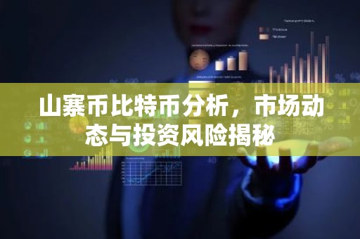 山寨币比特币分析，市场动态与投资风险揭秘