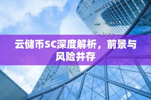 云储币SC深度解析，前景与风险并存