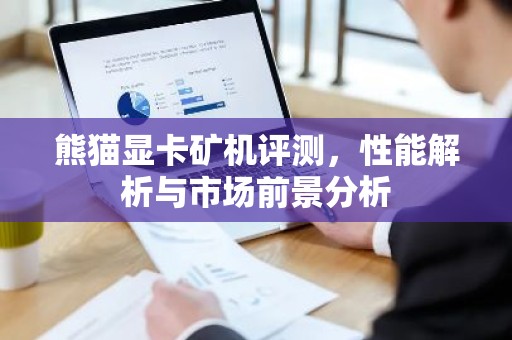 熊猫显卡矿机评测，性能解析与市场前景分析