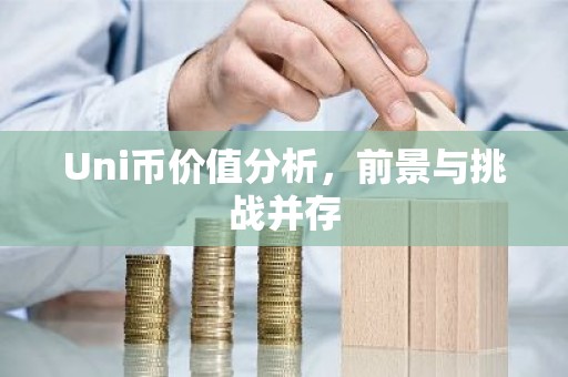 Uni币价值分析，前景与挑战并存