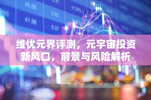 维优元界评测，元宇宙投资新风口，前景与风险解析