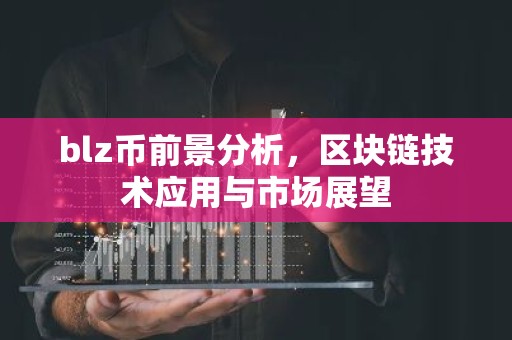 blz币前景分析，区块链技术应用与市场展望