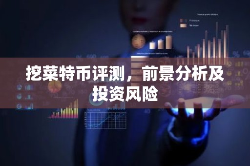 挖菜特币评测，前景分析及投资风险