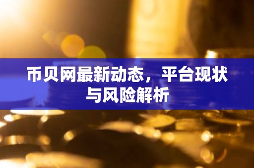币贝网最新动态，平台现状与风险解析