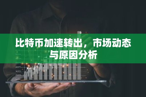 比特币加速转出，市场动态与原因分析