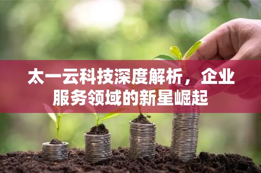 太一云科技深度解析，企业服务领域的新星崛起