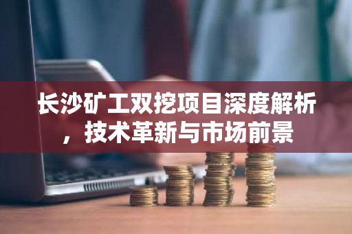 长沙矿工双挖项目深度解析，技术革新与市场前景