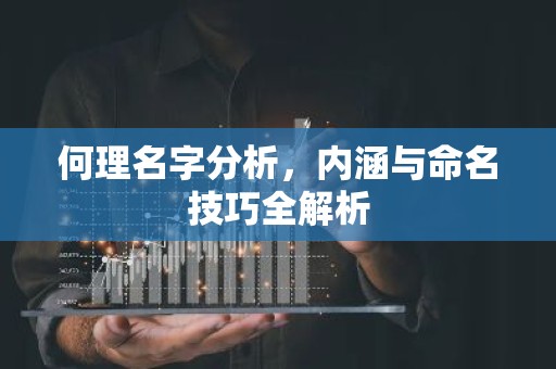 何理名字分析，内涵与命名技巧全解析