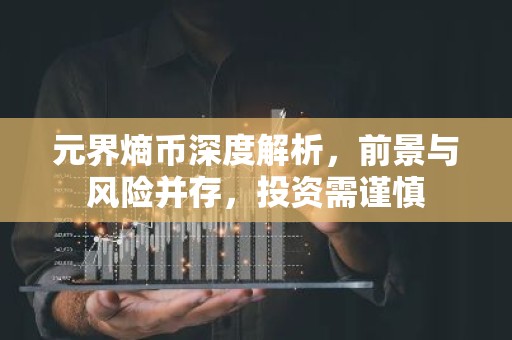 元界熵币深度解析，前景与风险并存，投资需谨慎