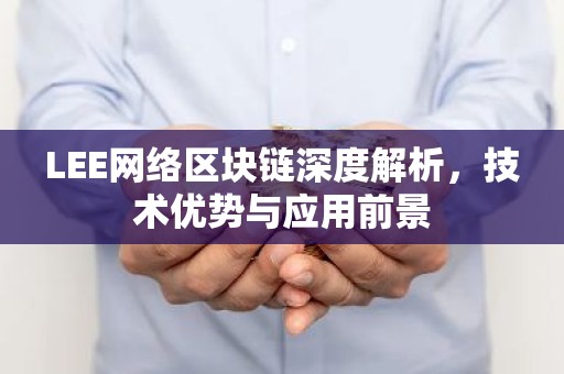 LEE网络区块链深度解析，技术优势与应用前景