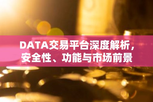 DATA交易平台深度解析，安全性、功能与市场前景