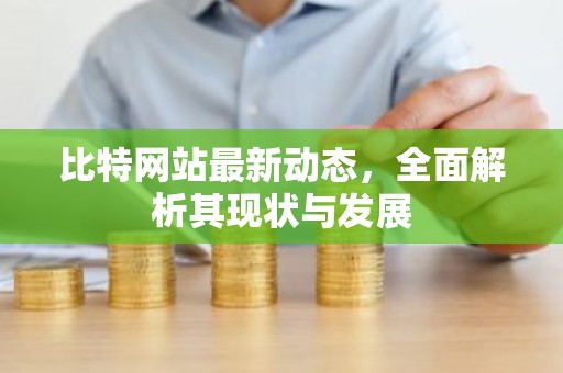 比特网站最新动态，全面解析其现状与发展