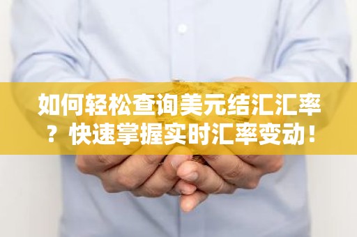如何轻松查询美元结汇汇率？快速掌握实时汇率变动！