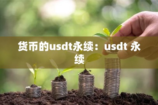货币的usdt永续：usdt 永续