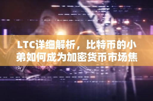 LTC详细解析，比特币的小弟如何成为加密货币市场焦点