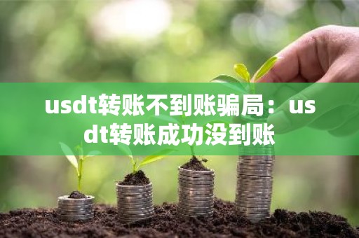 usdt转账不到账骗局：usdt转账成功没到账