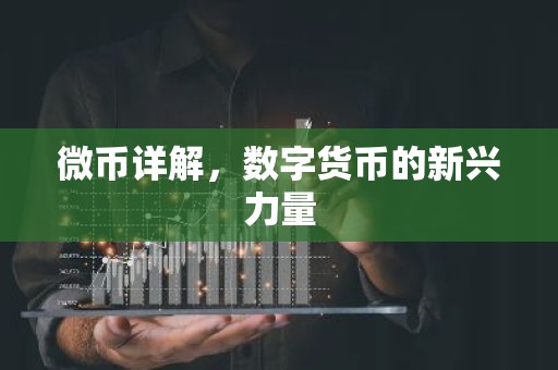 微币详解，数字货币的新兴力量
