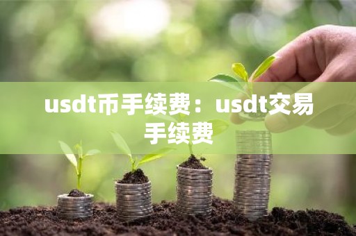 usdt币手续费：usdt交易手续费