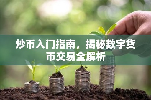炒币入门指南，揭秘数字货币交易全解析