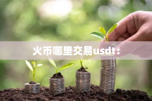 火币哪里交易usdt：