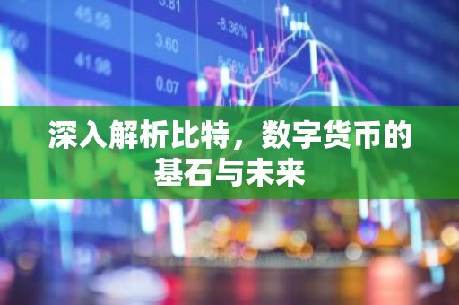 深入解析比特，数字货币的基石与未来