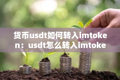 货币usdt如何转入imtoken：usdt怎么转入imtoken钱包
