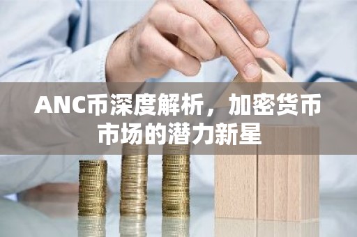 ANC币深度解析，加密货币市场的潜力新星