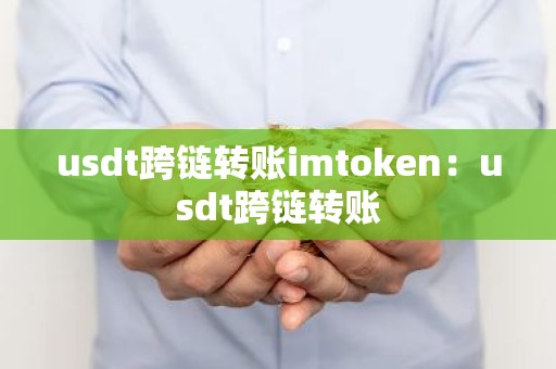 usdt跨链转账imtoken：usdt跨链转账
