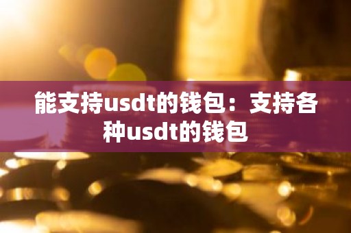 能支持usdt的钱包：支持各种usdt的钱包