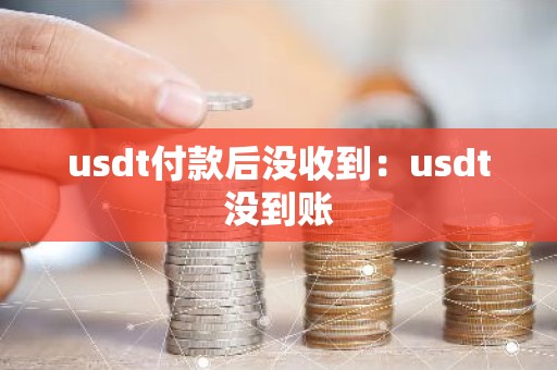 usdt付款后没收到：usdt没到账