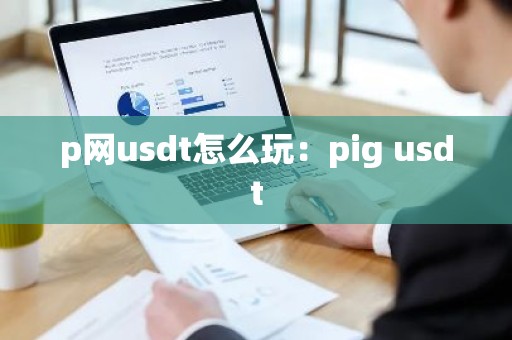 p网usdt怎么玩：pig usdt