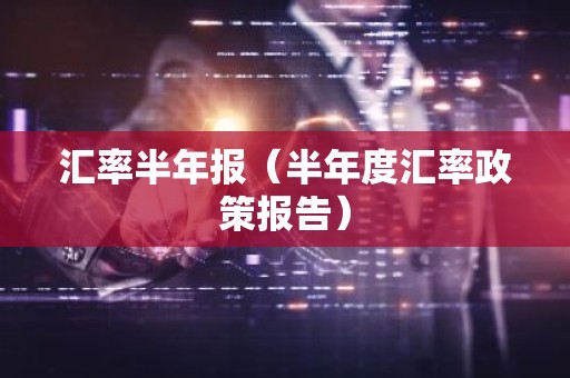 汇率半年报（半年度汇率政策报告）