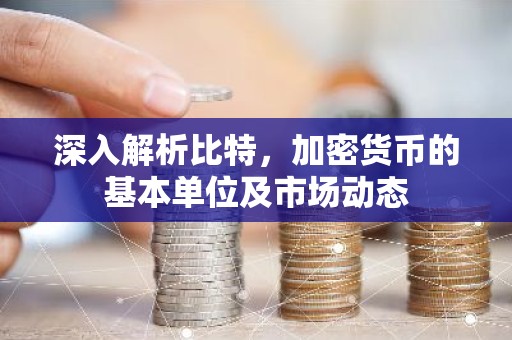 深入解析比特，加密货币的基本单位及市场动态