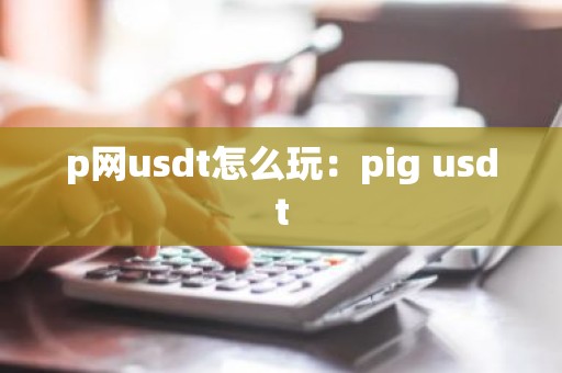 p网usdt怎么玩：pig usdt