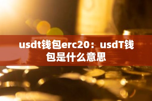 usdt钱包erc20：usdT钱包是什么意思