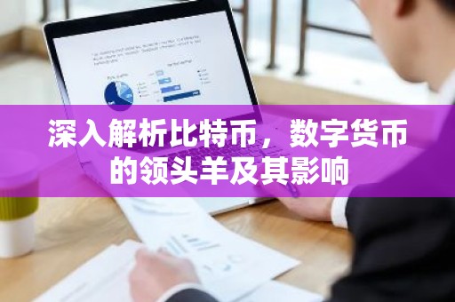 深入解析比特币，数字货币的领头羊及其影响