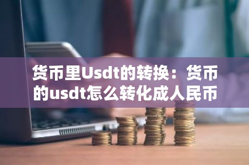 货币里Usdt的转换：货币的usdt怎么转化成人民币