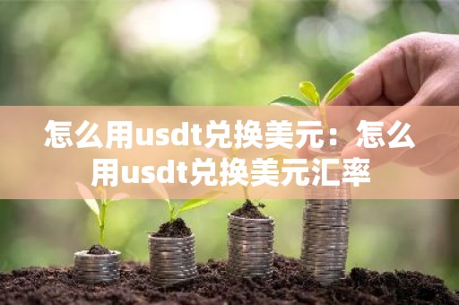 怎么用usdt兑换美元：怎么用usdt兑换美元汇率