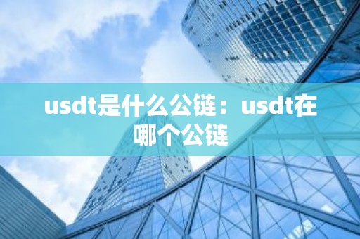 usdt是什么公链：usdt在哪个公链