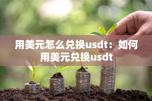 用美元怎么兑换usdt：如何用美元兑换usdt