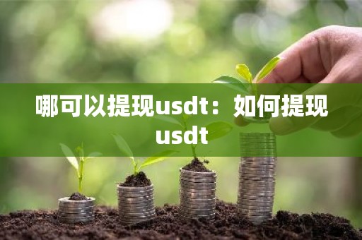哪可以提现usdt：如何提现usdt