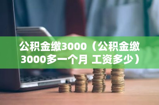 公积金缴3000（公积金缴3000多一个月 工资多少）
