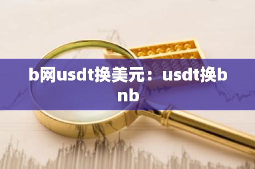 b网usdt换美元：usdt换bnb