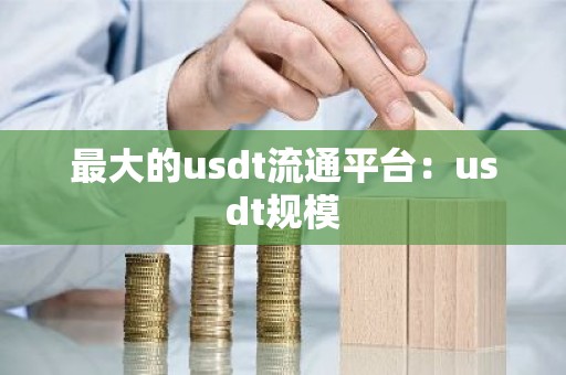 最大的usdt流通平台：usdt规模