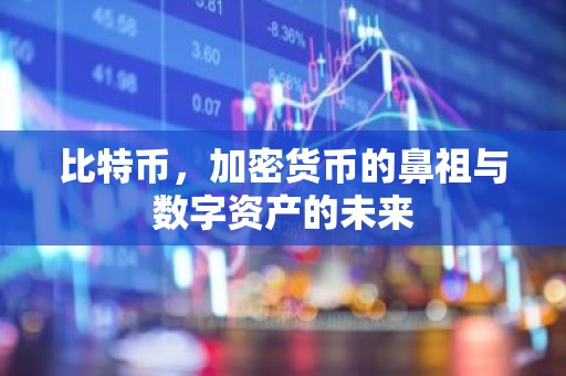 比特币，加密货币的鼻祖与数字资产的未来