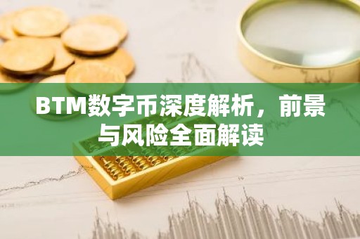 BTM数字币深度解析，前景与风险全面解读