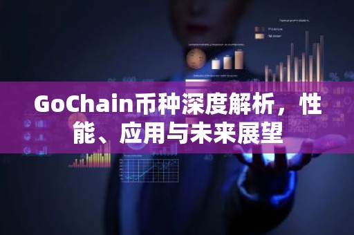 GoChain币种深度解析，性能、应用与未来展望