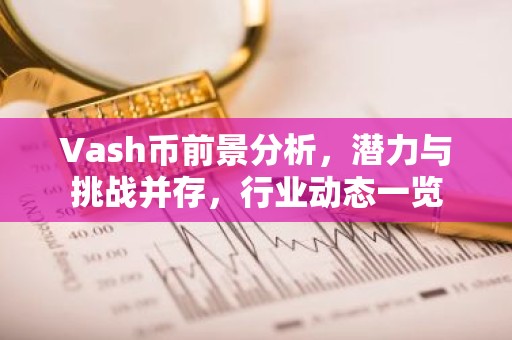 Vash币前景分析，潜力与挑战并存，行业动态一览
