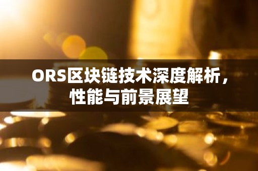 ORS区块链技术深度解析，性能与前景展望