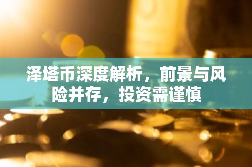 泽塔币深度解析，前景与风险并存，投资需谨慎